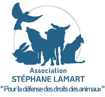 Association Stéphane Lamart