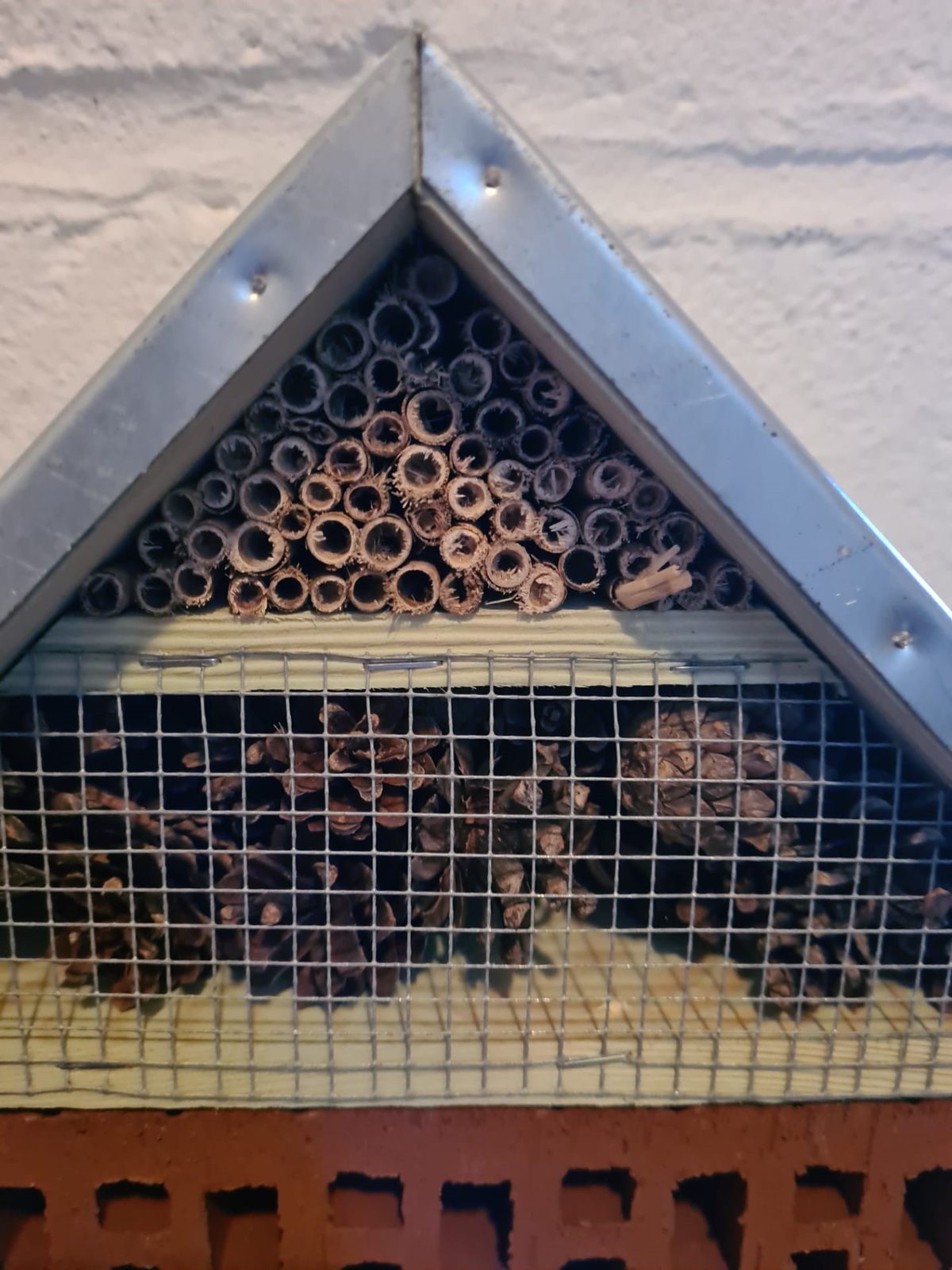 Insect hotel